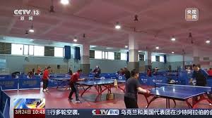 乒乓球台的长度是()